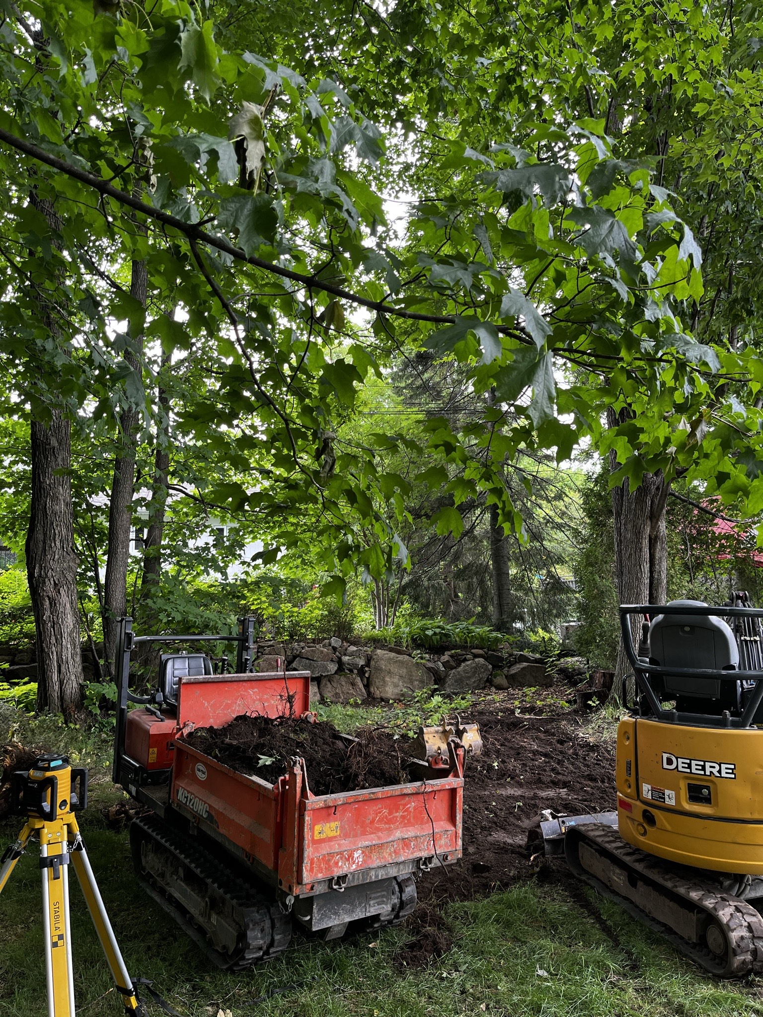 image_6487327 (3)